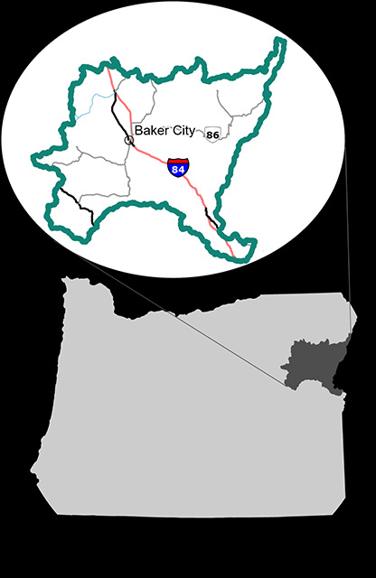 Powder Basin